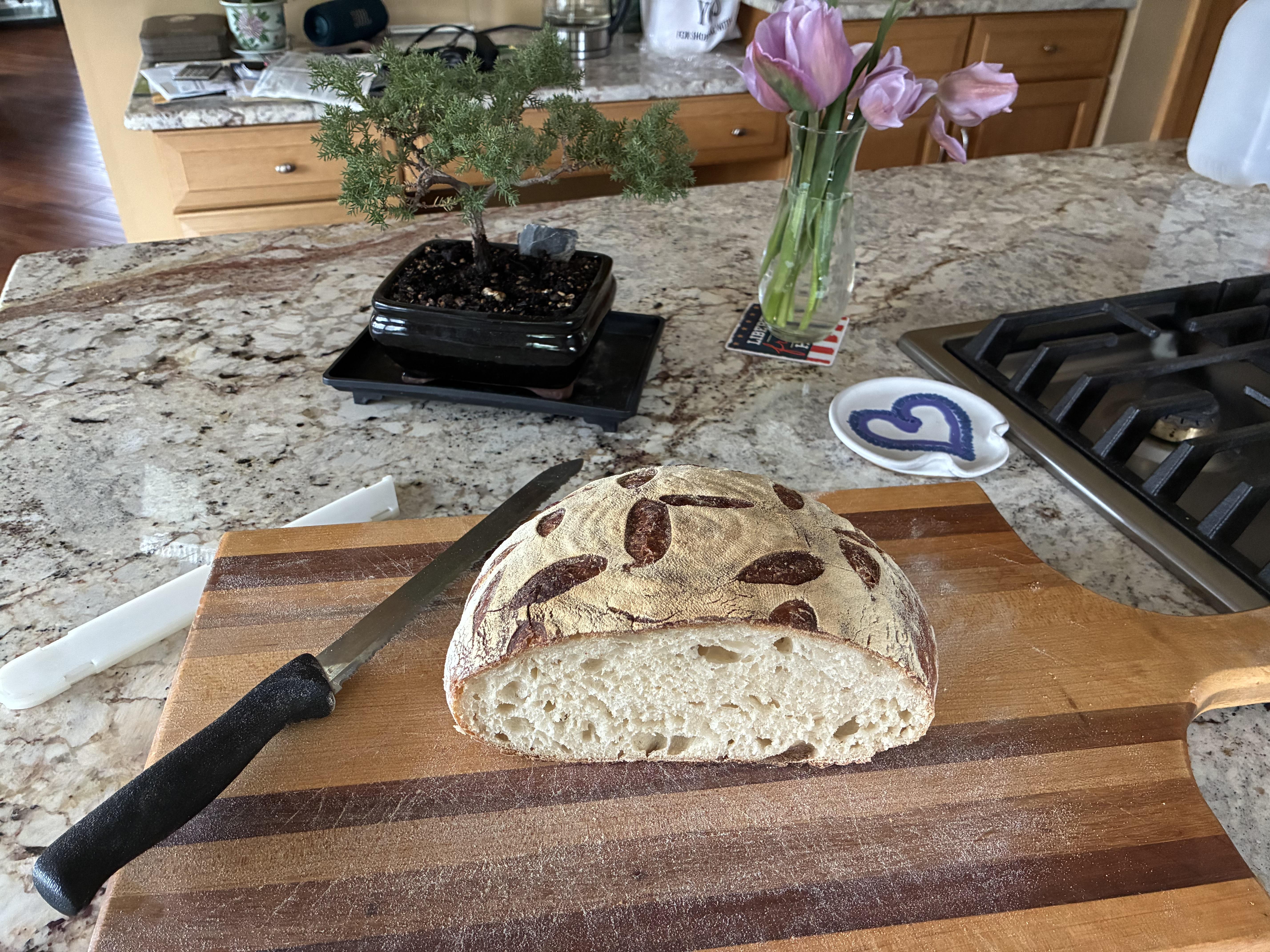 Beautiful and bakes amazing sourdough