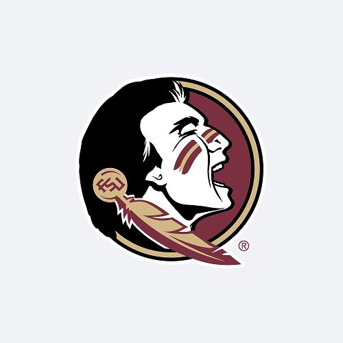 made-in-florida-state-university-silicone-sleeves image 2