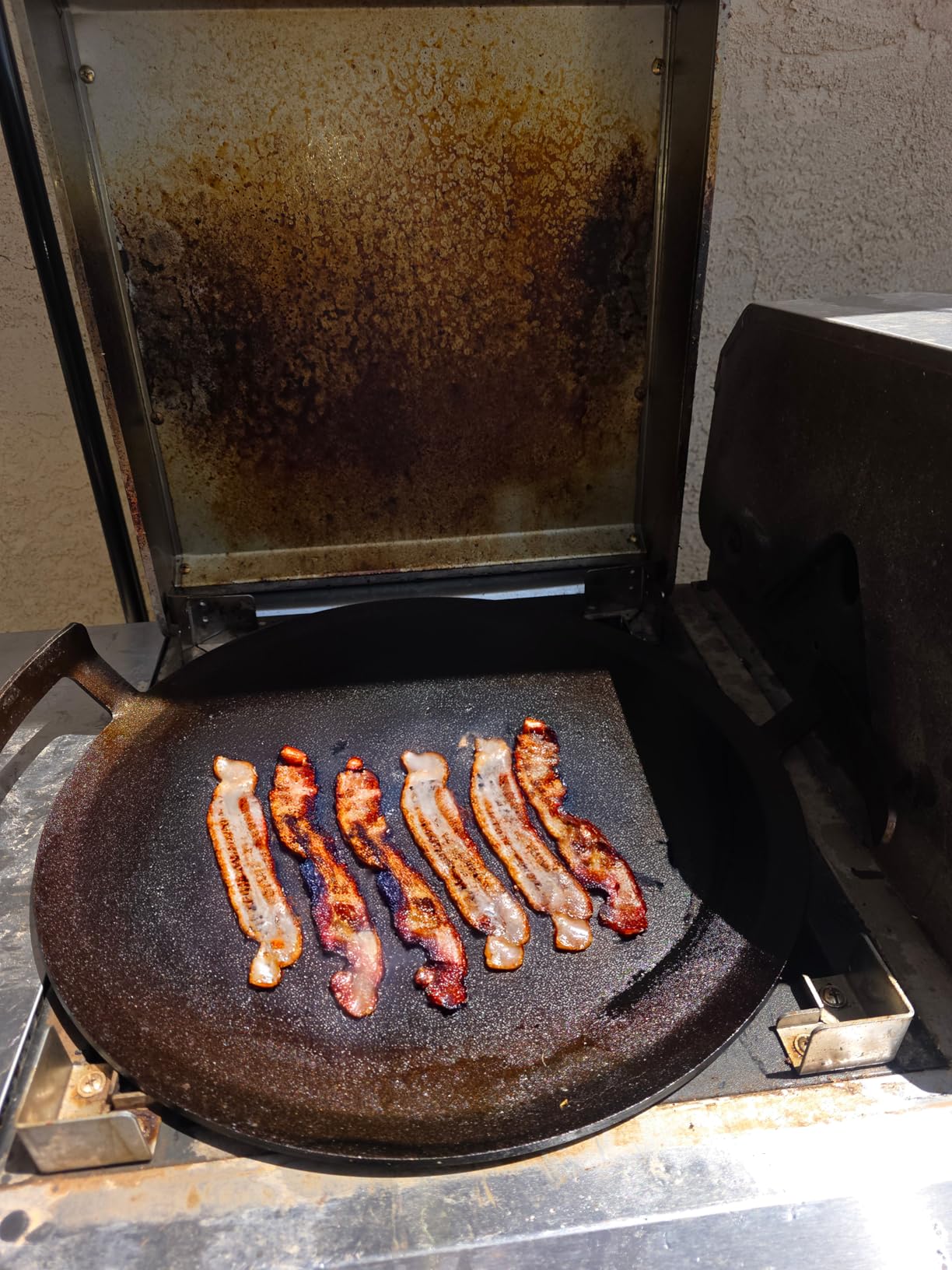 Big Green Egg's new best friend