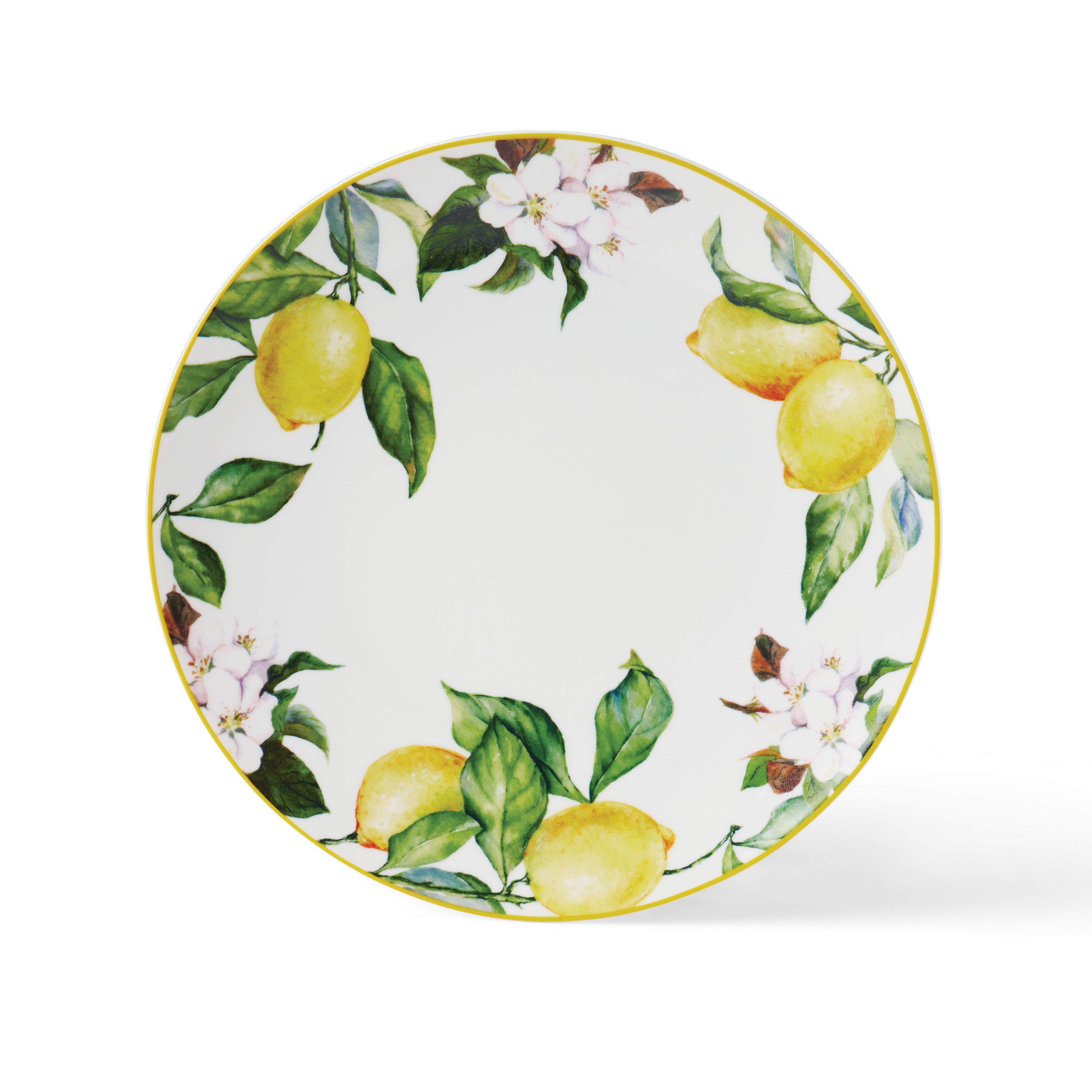 tramontina-carmen-6-piece-dinner-plate-set-glazed-porcelain image 4