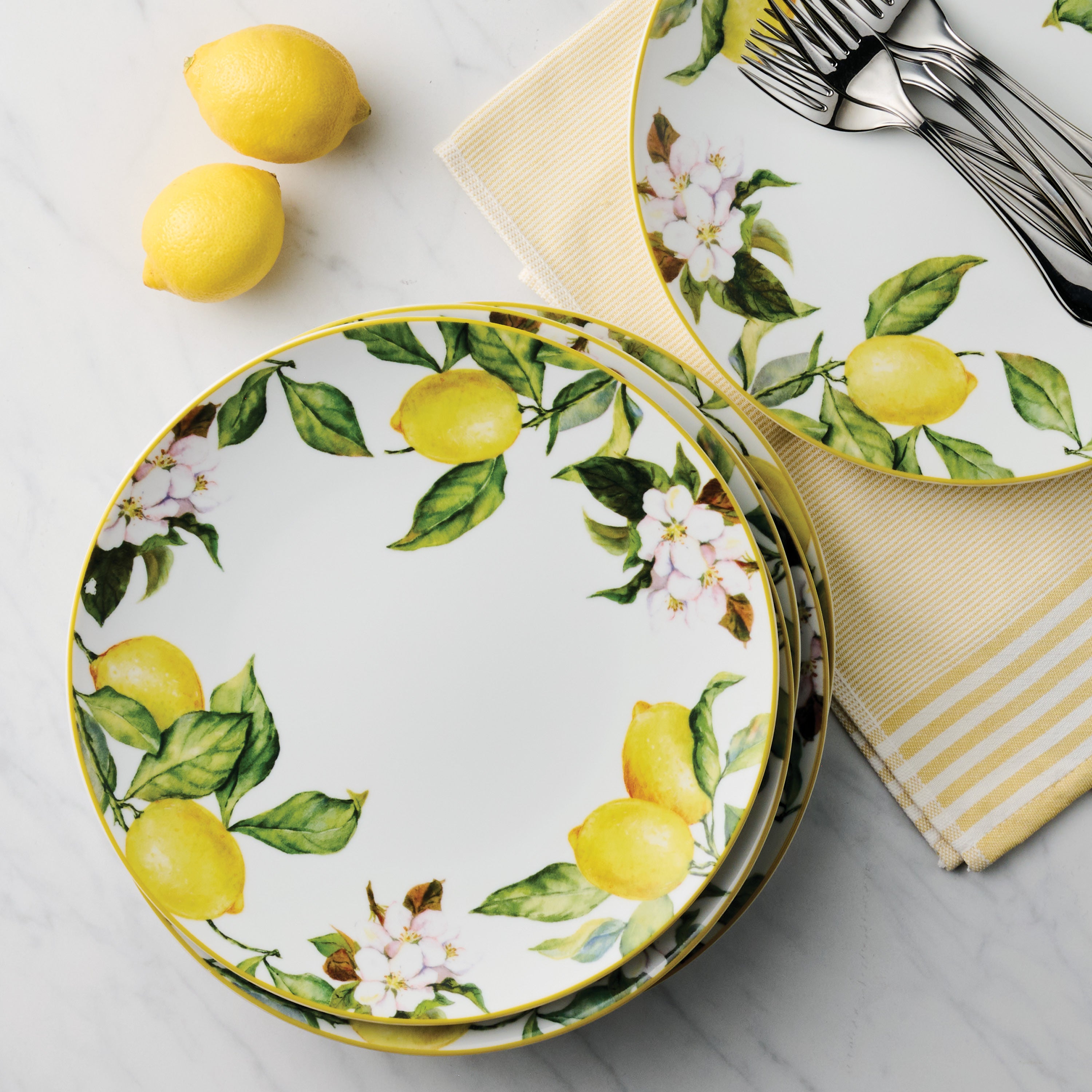 tramontina-carmen-6-piece-dinner-plate-set-glazed-porcelain image 8