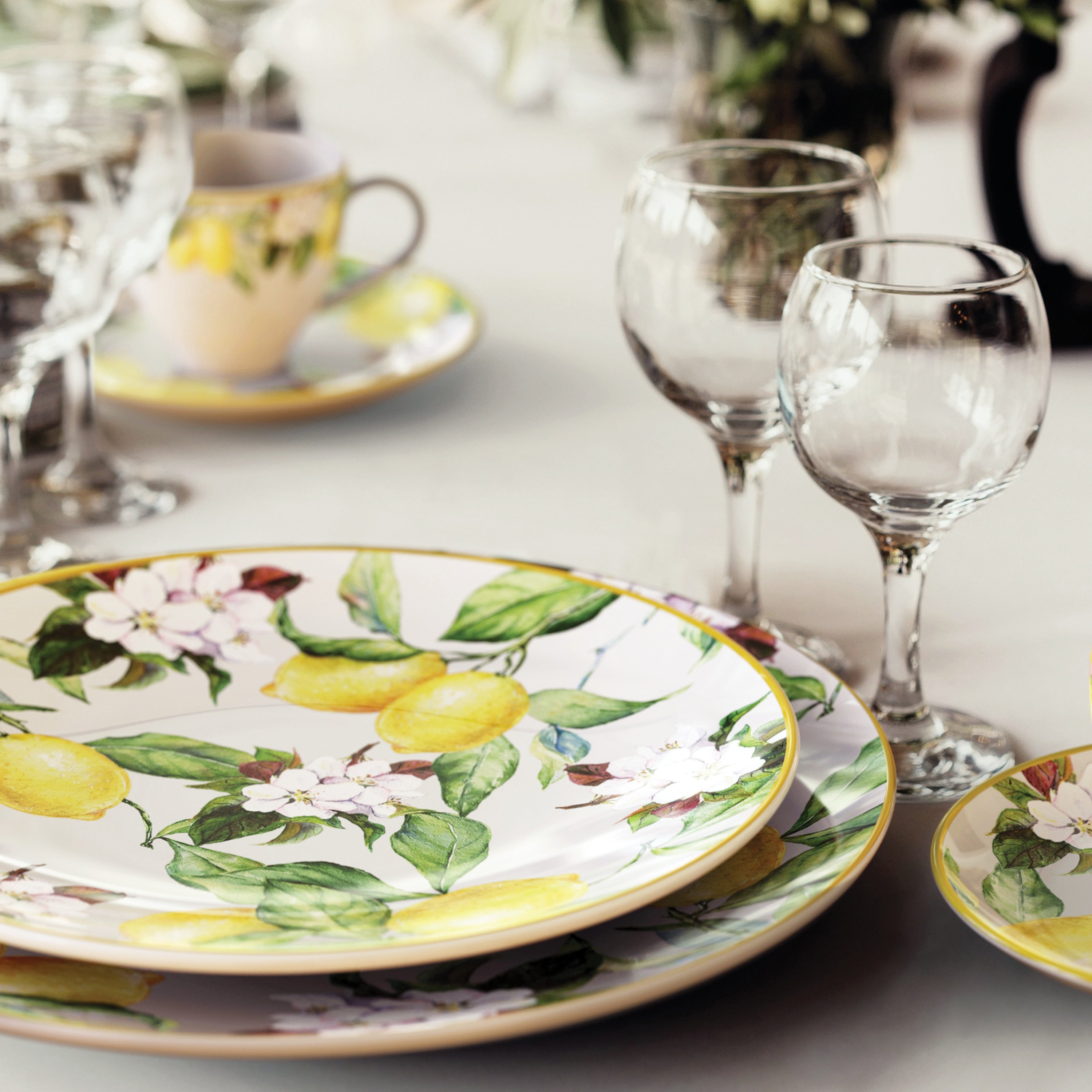 tramontina-carmen-6-piece-dinner-plate-set-glazed-porcelain image 7