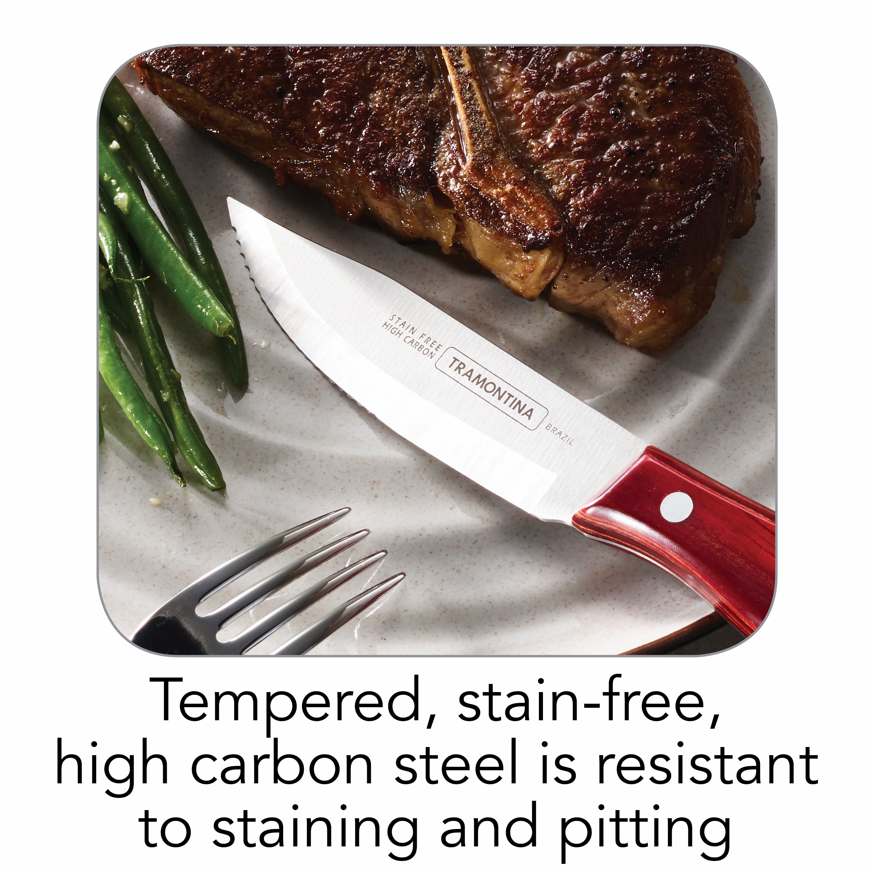 tramontina-gourmet-porterhouse-9-piece-steak-knife-set-with-hardwood-block image 3