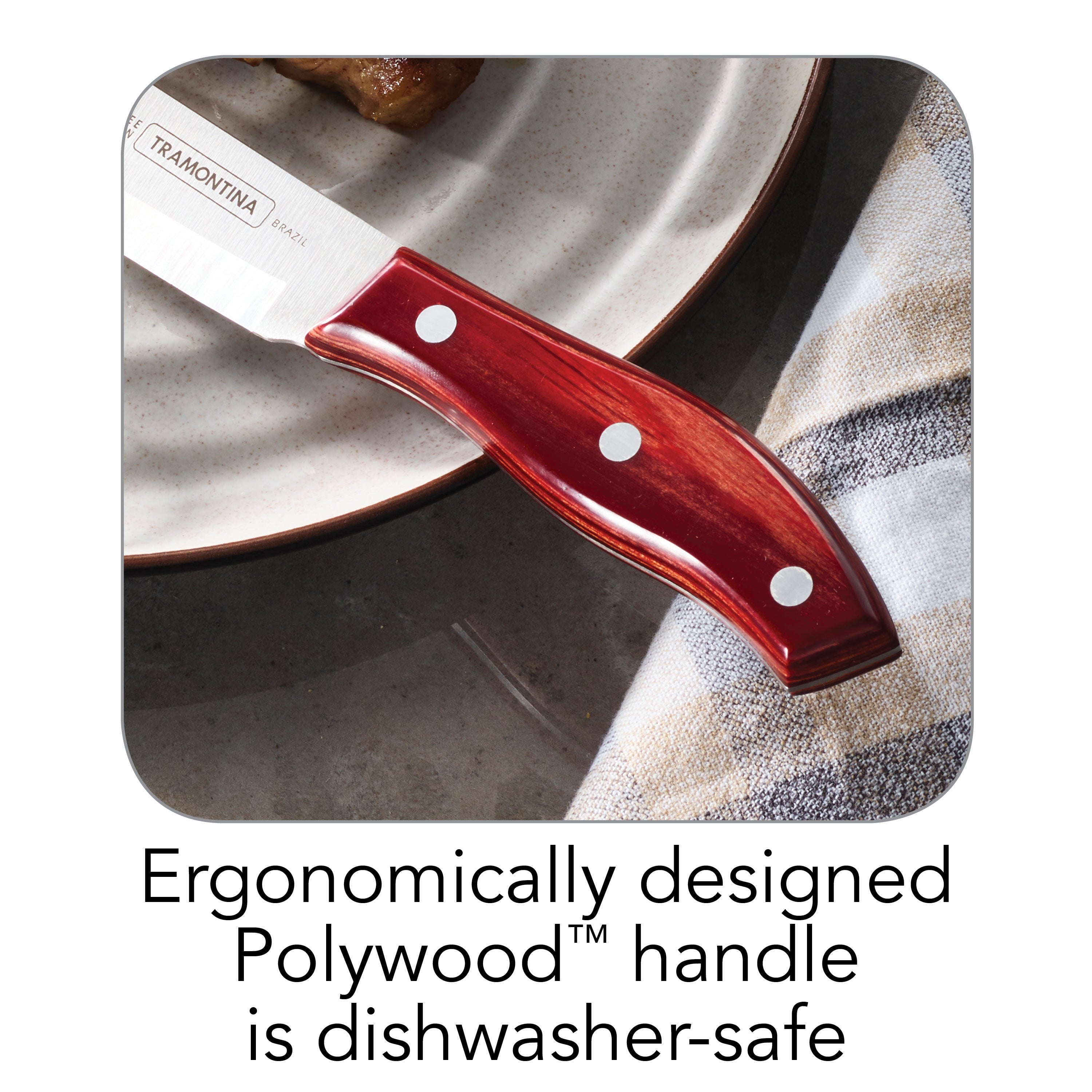 tramontina-gourmet-porterhouse-9-piece-steak-knife-set-with-hardwood-block image 7